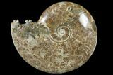 Polished, Agatized Ammonite (Cleoniceras) - Madagascar #133263-1
